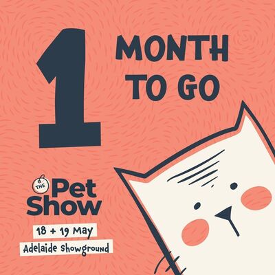 ADELAIDE!!! Get your paws ready, we have ONE MONTH TO GO! 🐾⁠
⁠
Australia's favourite national Pet Show is FINALLY coming to Adelaide and you wont want to miss it! 🐶⁠
⁠
Bring your kids, bring your friends, bring your partner - With a range of celebrity guests, education and entertainment, there is something for every pet lover. ⁠🥰⁠
⁠
Don't miss out! 😸⁠
⁠
⁠📅 Saturday 18 & Sunday 19 May⁠
🕜 10am - 4pm⁠
📍 Adelaide Showgrounds, Wayville⁠
⁠
Grab this one by the tail and get your tickets NOW, at link in bio. 🦎⁠
⁠
⁠
.⁠
.⁠
.⁠
.⁠
.⁠
#petshowaustralia #thepetshow2024 #petexpo #petlovers #furfamily #petcare #peteducation #animallovers #petproducts #petcommunity #petfun #petfriendly #petowners #petevent #pettraining #petentertainment #pethappiness #petrescue #petsupplies #petlife #petadoption